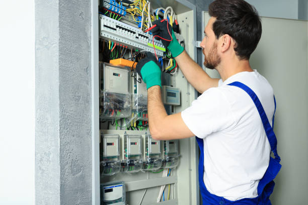 Best Electrical Rewiring Services  in La Presa, CA
